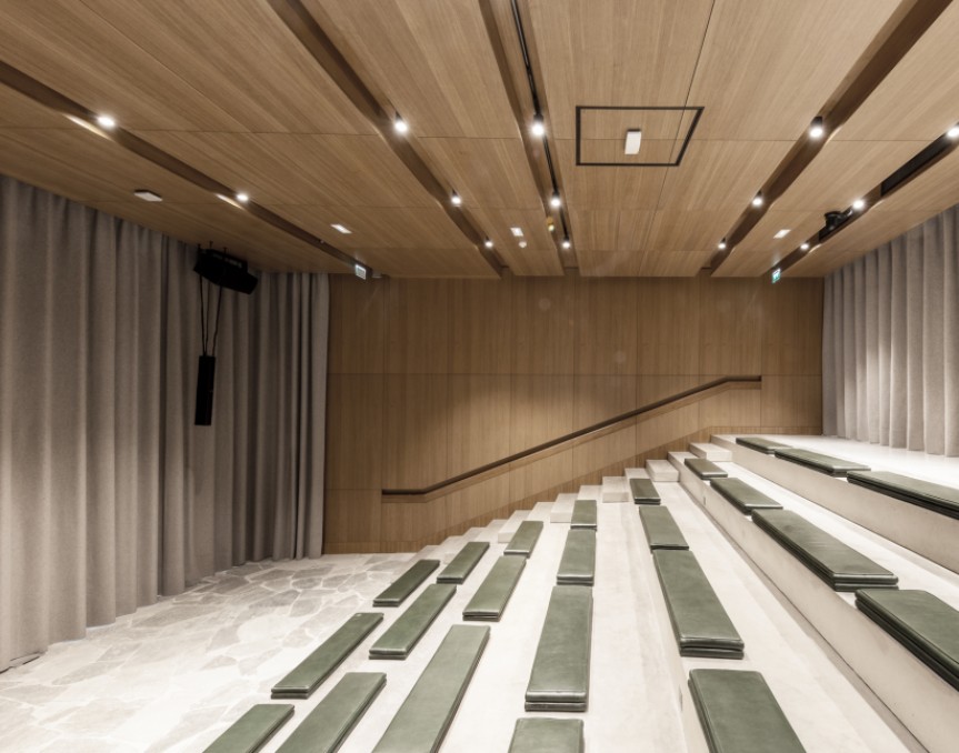 Auditorium-entreprise-1