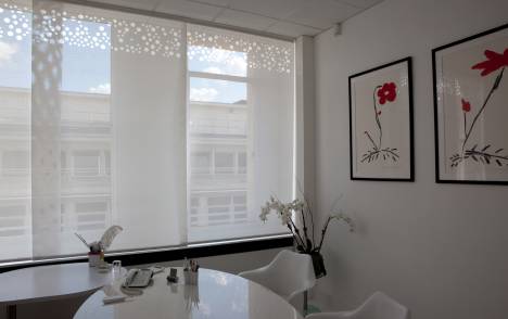 "Bubbles" sun screen sliding panel : executive office - Paris - 1