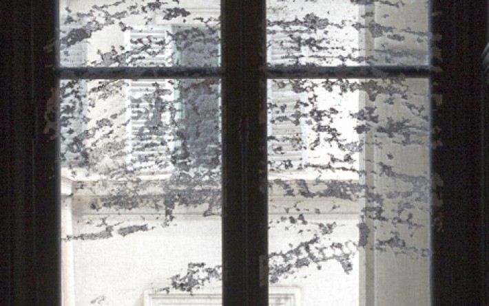 Panneaux japonais transparents "Céleste 2" - exemple de réalisation 5