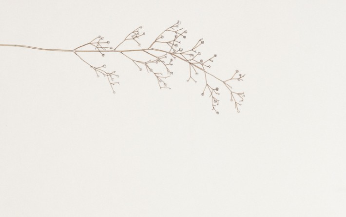 Separation-espace-dessins-Brindille-H 