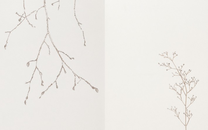 Separation-espace-dessins-Platane-et-Brindille 