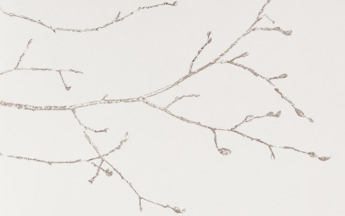 Separation-espace-dessins-Platane 