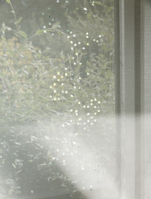Sun screen roller blinds "Champagne"