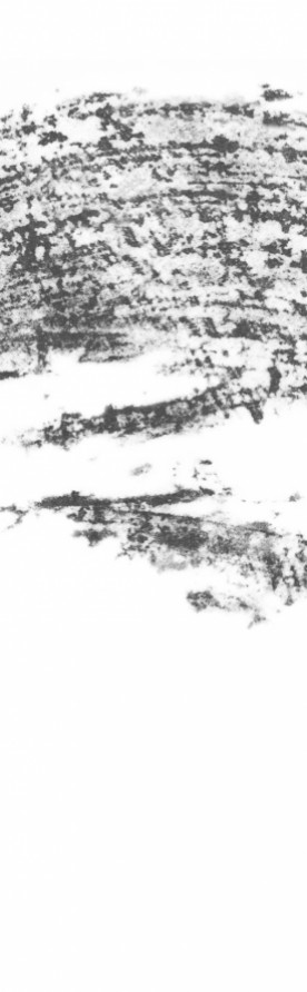 Panneaux japonais transparents "Céleste 2"